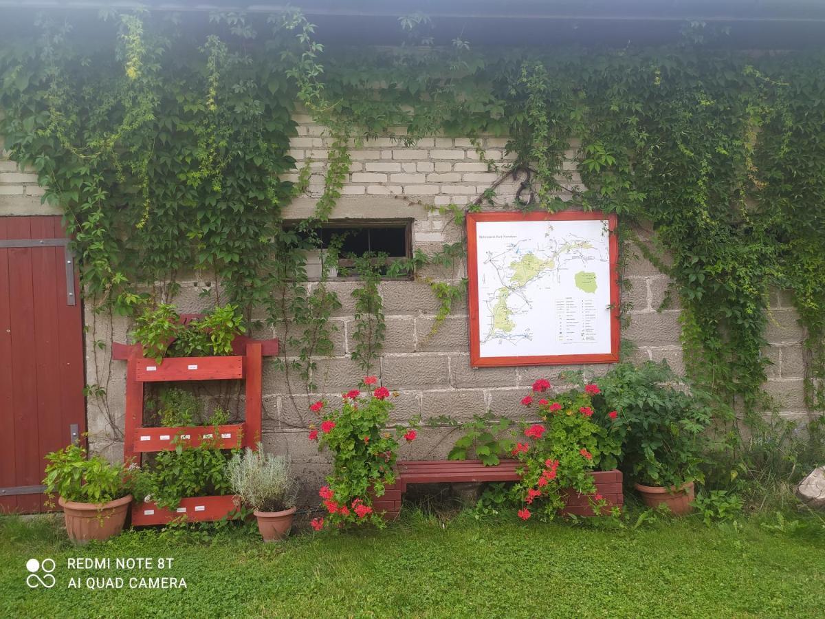 Dolistowka: Apartamenty z Jacuzzi, Ogrodem i Placem Zabaw Goniadz Exterior photo